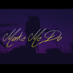 Willz Nyopole & Muso Meyers - "Make Me Do" (Official Video+ MP3)