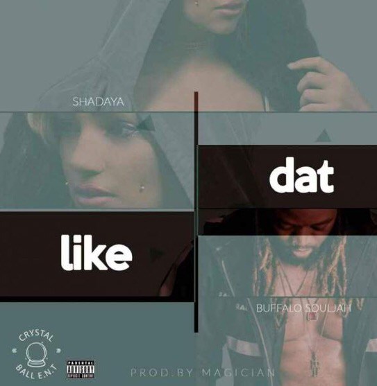 Shadaya – "Like Dat" Ft. Buffalo Souljah