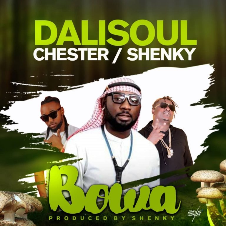 Dalisoul ft. Chester & Shenky – "Chulu Cha Bowa"