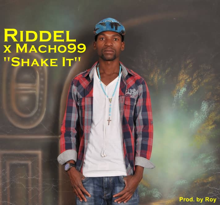 https://zedjams.com/wp-content/uploads/2019/05/Riddel-Ft.-Macho99-Shake-It-Prod.-By-Roy.mp3