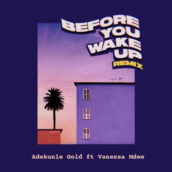 Adekunle Gold ,Vanessa Mdee ,Before You Wake Up ,Remix,