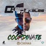 Download mp3 Chef 187 Ft. Skales - "Coordinate" Mr. P (P Square) '