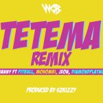 Rayvanny, Pitbull, Diamond Platnumz, Mohombi ,Jeon ,Tetema (Remix) ,