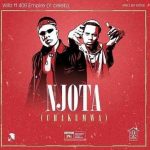 Willz ft. Y Celeb – “Njota (Chakumwa)”