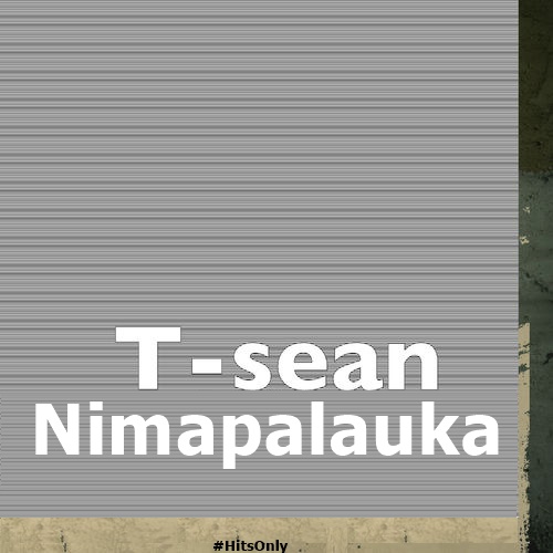 DOWNLOAD MP3: T-Sean - "Nimapalauka (Leak)" [Audio]