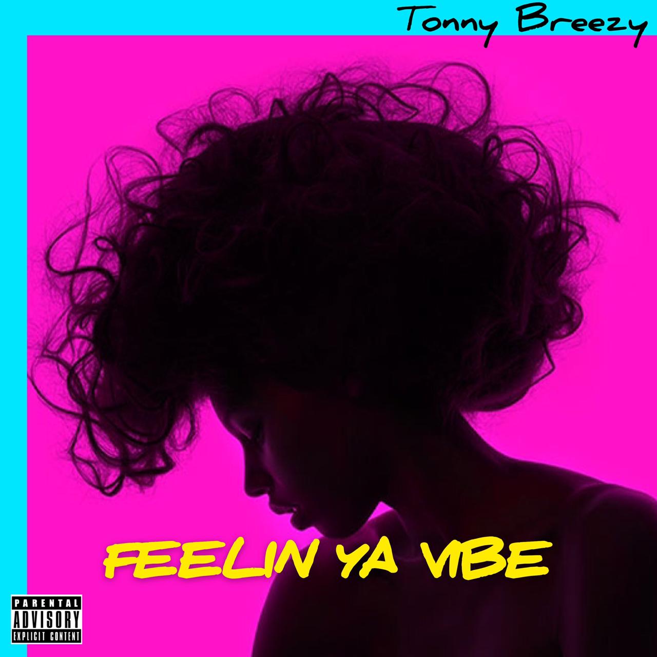 DOWNLOAD DOWNLOAD Tonny Breezy - Feelin Your Vyb