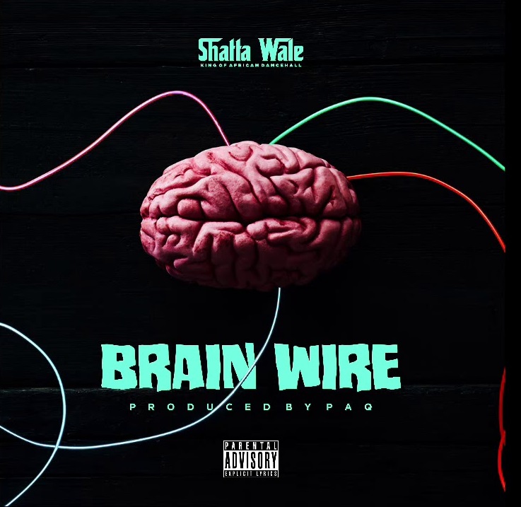 DOWNLOAD Shatta Wale - "Dealer + Brain Wire" Mp3