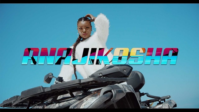 Harmonize – “Anajikosha” Music Video