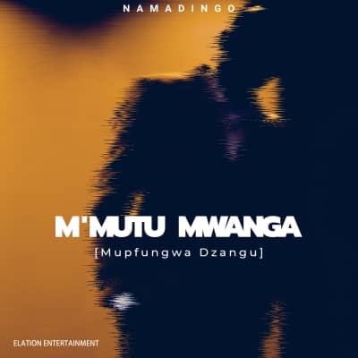 Namadingo - "M’Mutu Mwanga (Mupfungwa Dzangu)" Mp3