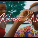 Mr Kokonut x Ndowa - "Vibelo"