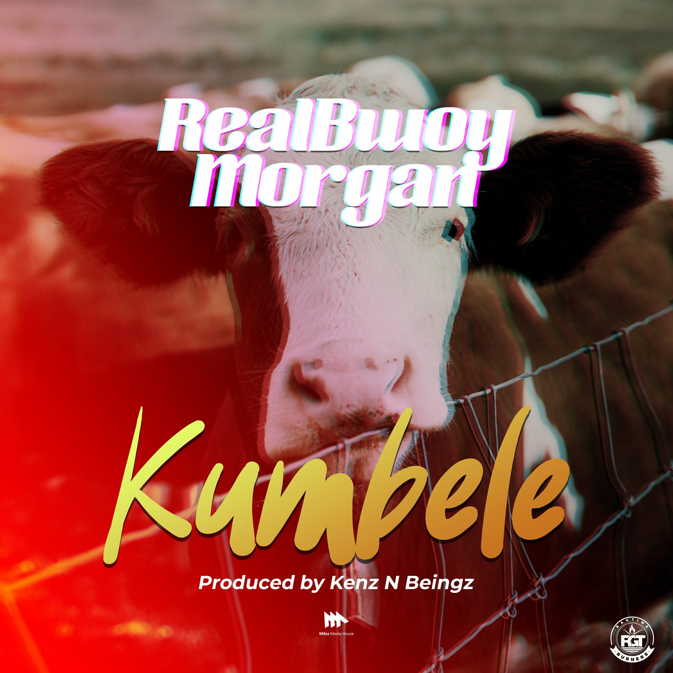 RealBwoy Morgan - Kumbele (Tonga Bull) Download Mp3