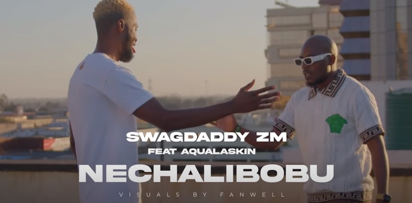 Swag Daddy Ft. Aqualaskin - Nechalibobu Visualizer