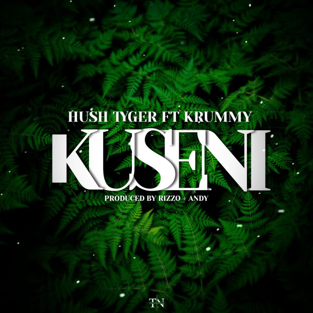 Hush Tiger Ft. Krummy - Kuseni Mp3