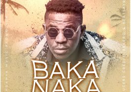 Rich Bizzy - Bakanaka Mp3 & Video