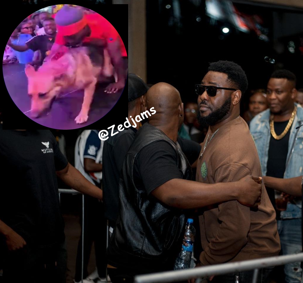 Y Celeb Creates Onstage Commotion, Jumps With A German Shepherd Dog, Disturbing Slapdee (Watch)