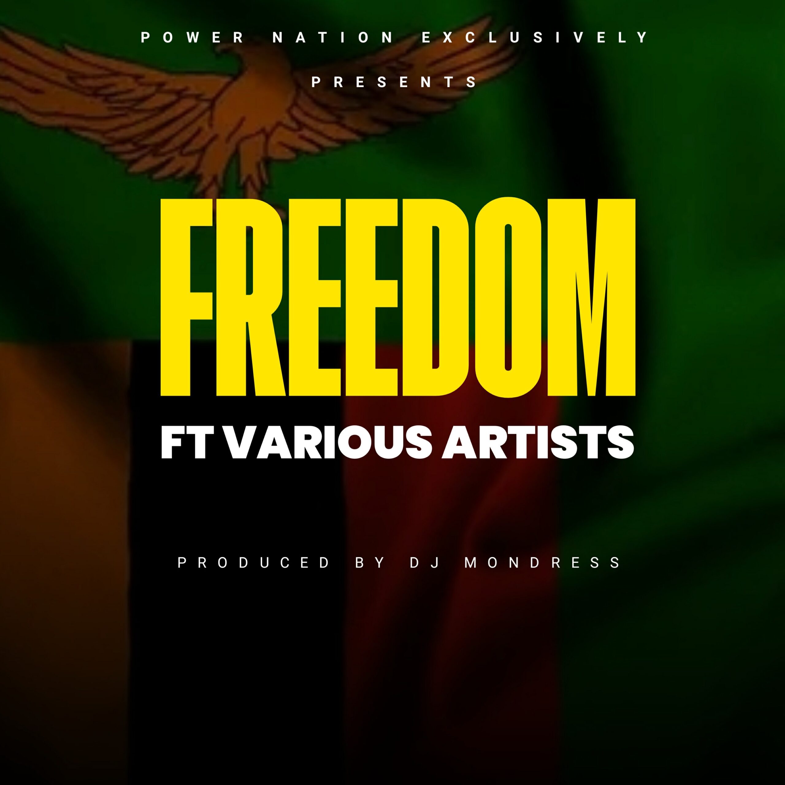 Power Nation Exclusively (PNE) FT. Various Artists - Freedom Mp3