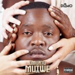 Dizmo - Umuntu Mutwe Album