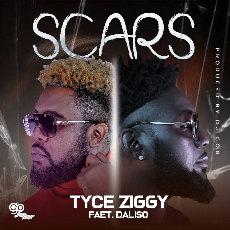 Tyce Ziggy Ft. Dalisoul - Scars Audio